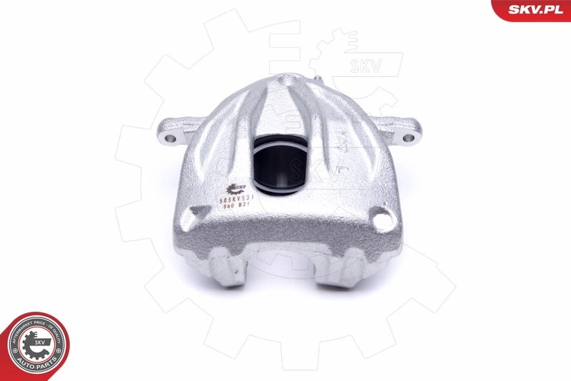Brake Caliper 50SKV531