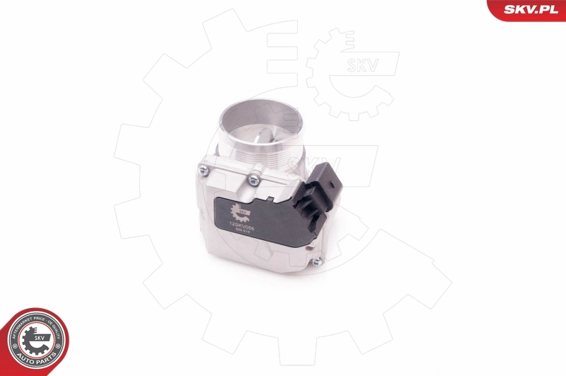 Throttle Body 12SKV056