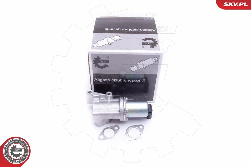 EGR Valve 14SKV211