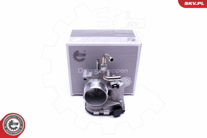 Throttle Body 12SKV085