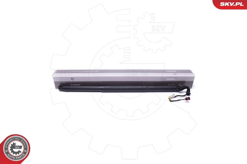 Electric Motor, tailgate 52SKV944