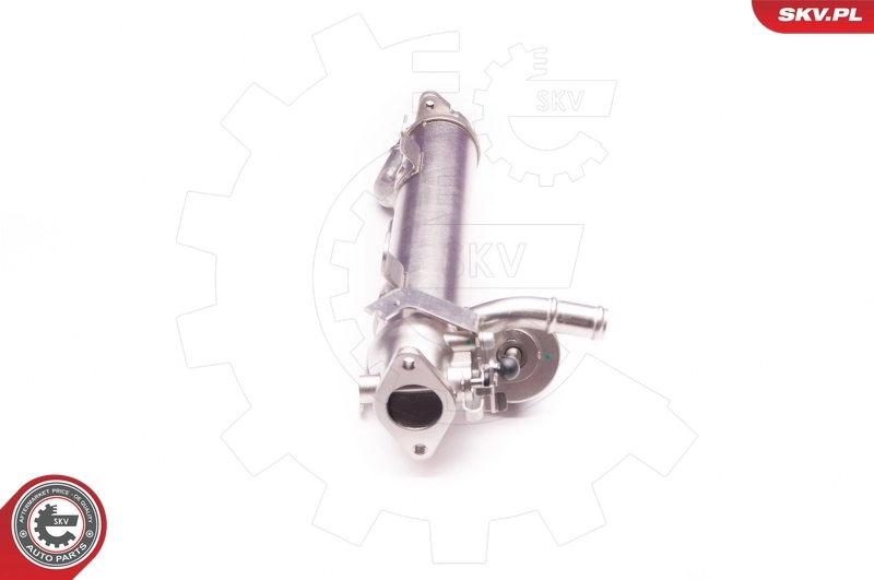 EGR Valve 14SKV123