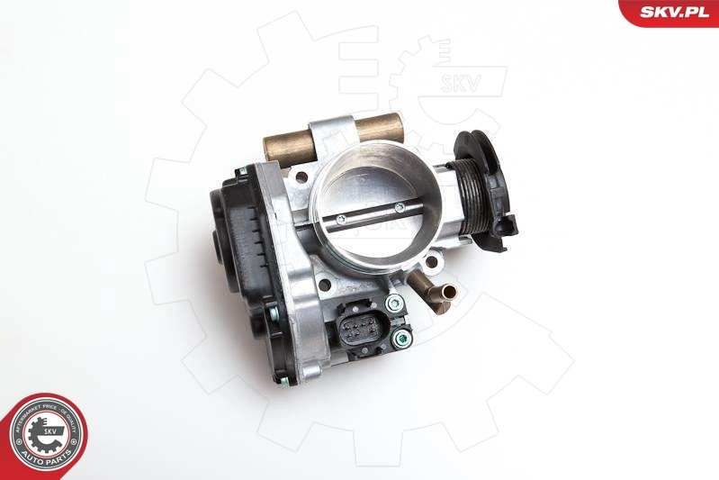 Throttle Body 12SKV003
