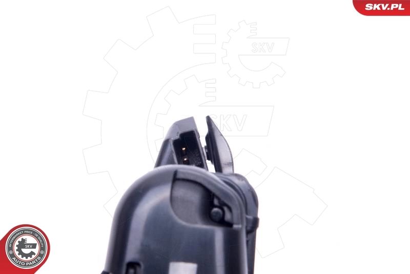 Switch, tailgate release 16SKV271