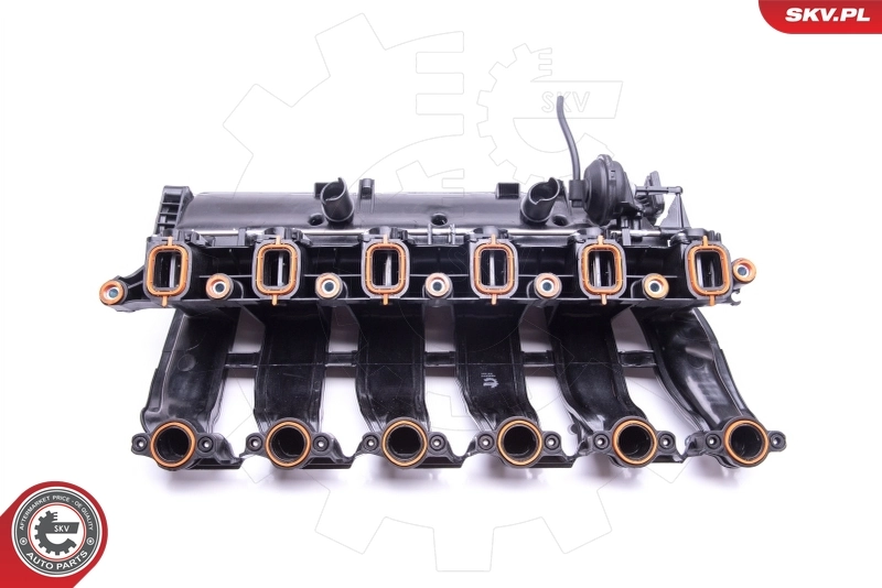 Intake Manifold Module 49SKV016