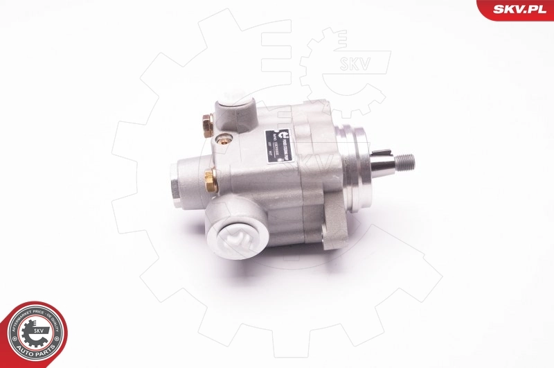 ESEN SKV 1SKV0005 Hydraulic Pump, steering