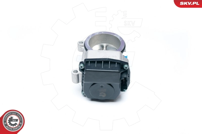 Throttle Body 12SKV051