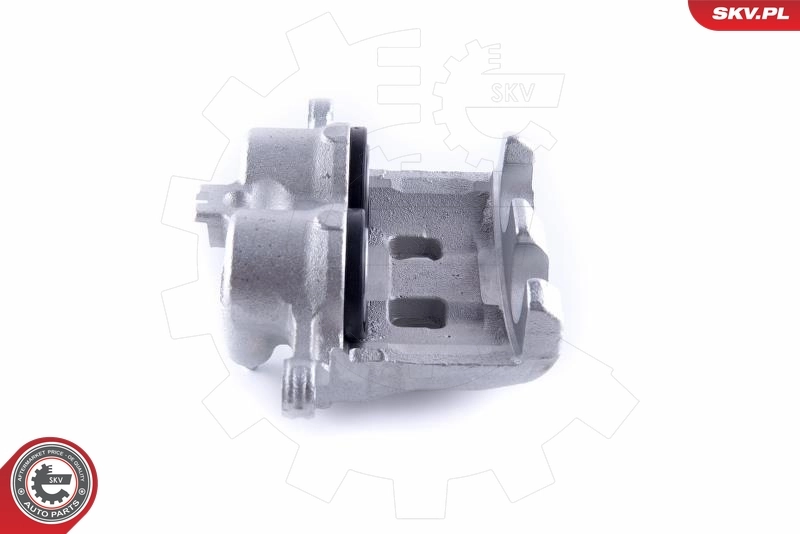 ESEN SKV 50SKV811 Brake Caliper