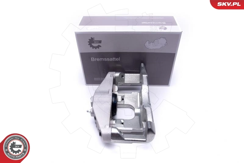 Brake Caliper 55SKV831