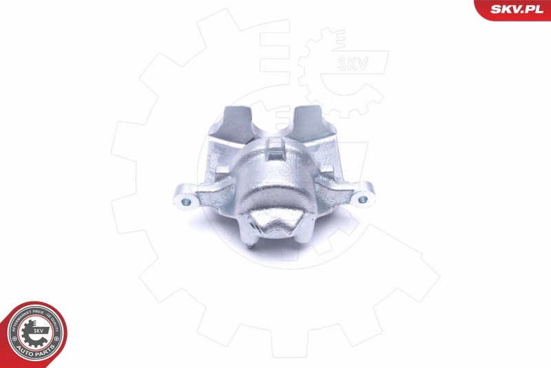 Brake Caliper 46SKV061