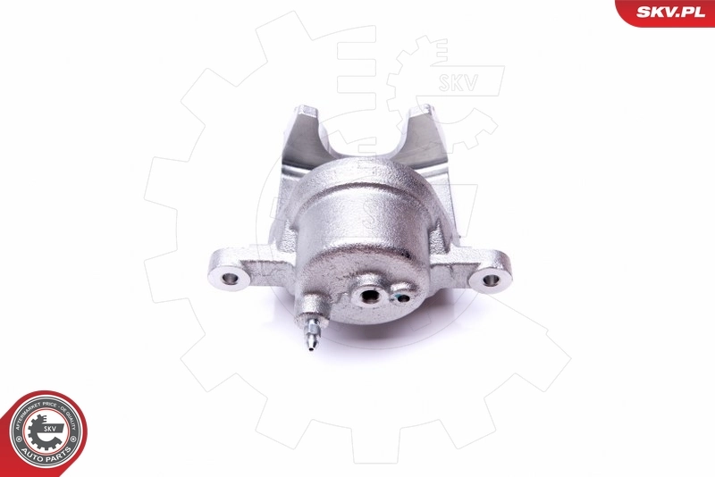 Brake Caliper 45SKV712