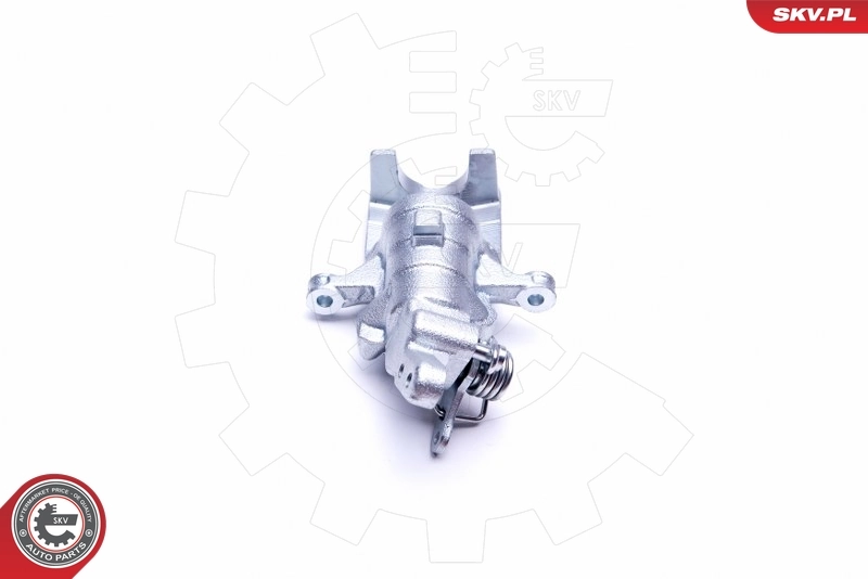 Brake Caliper 42SKV574