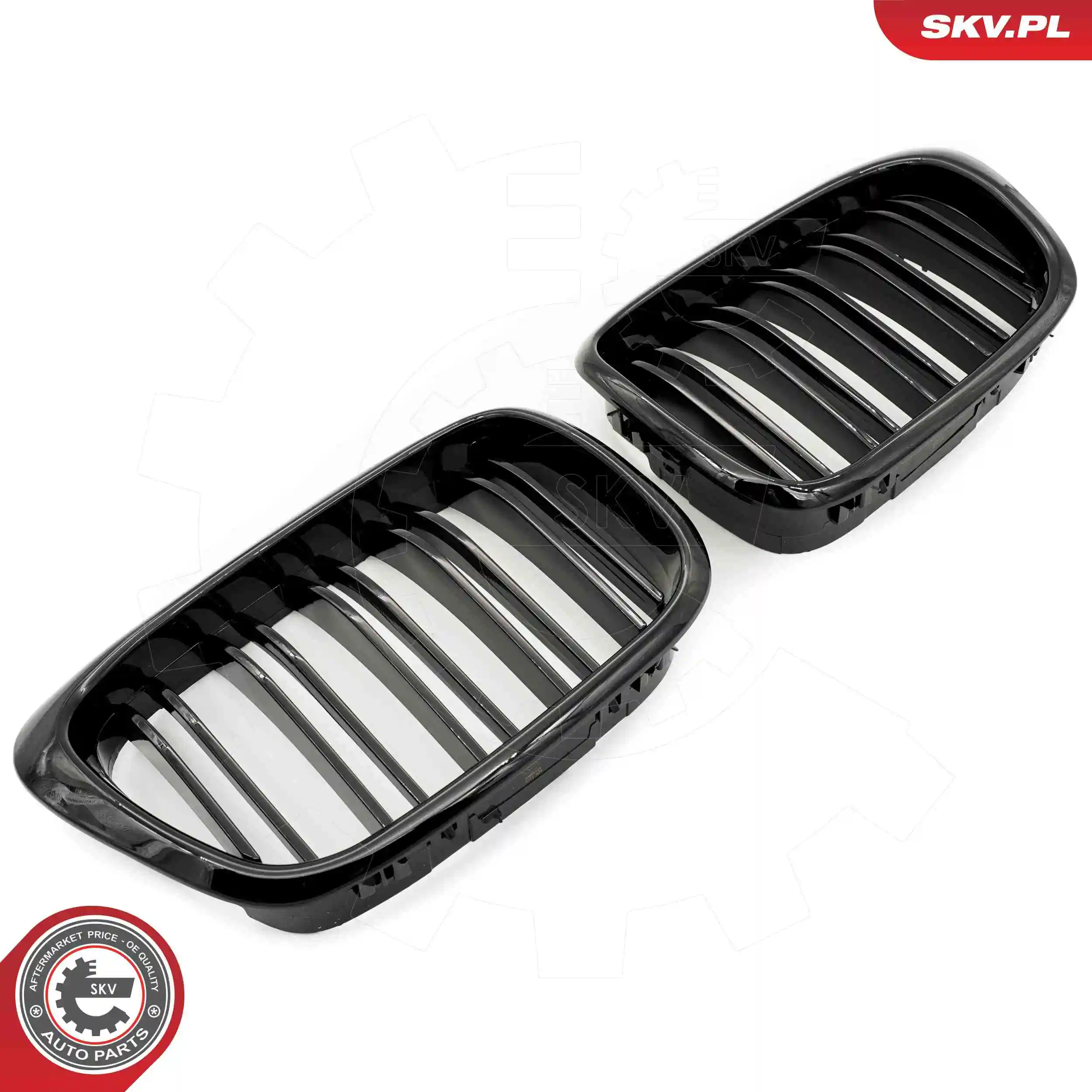 Radiator Grille 66SKV161