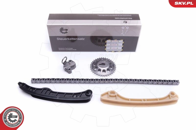 Timing Chain Kit 21SKV211