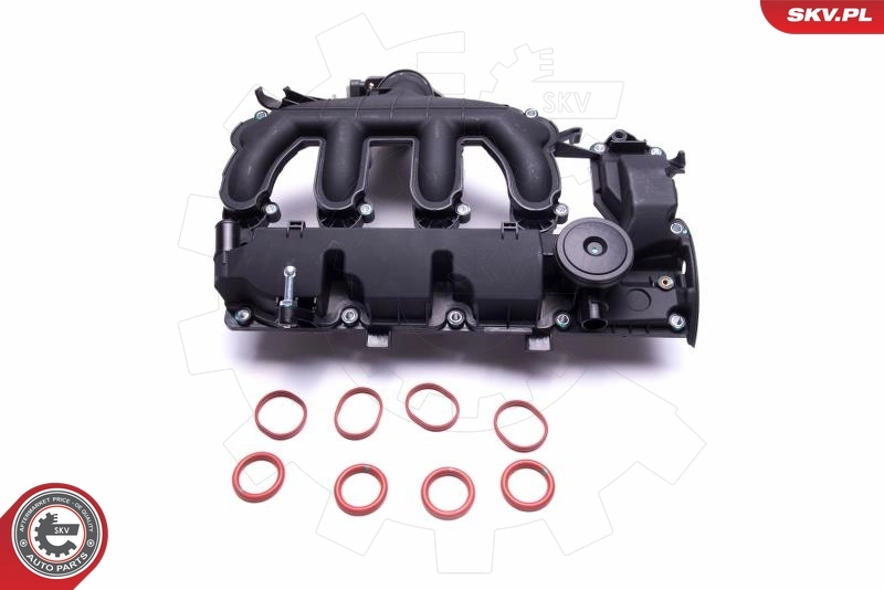 ESEN SKV 48SKV072 Cylinder Head Cover