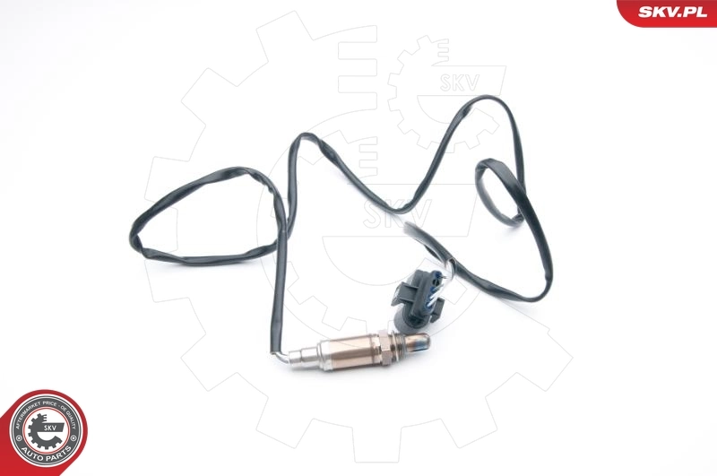 Oxygen Sensor 09SKV613