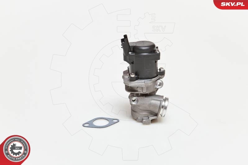 EGR Valve 14SKV028