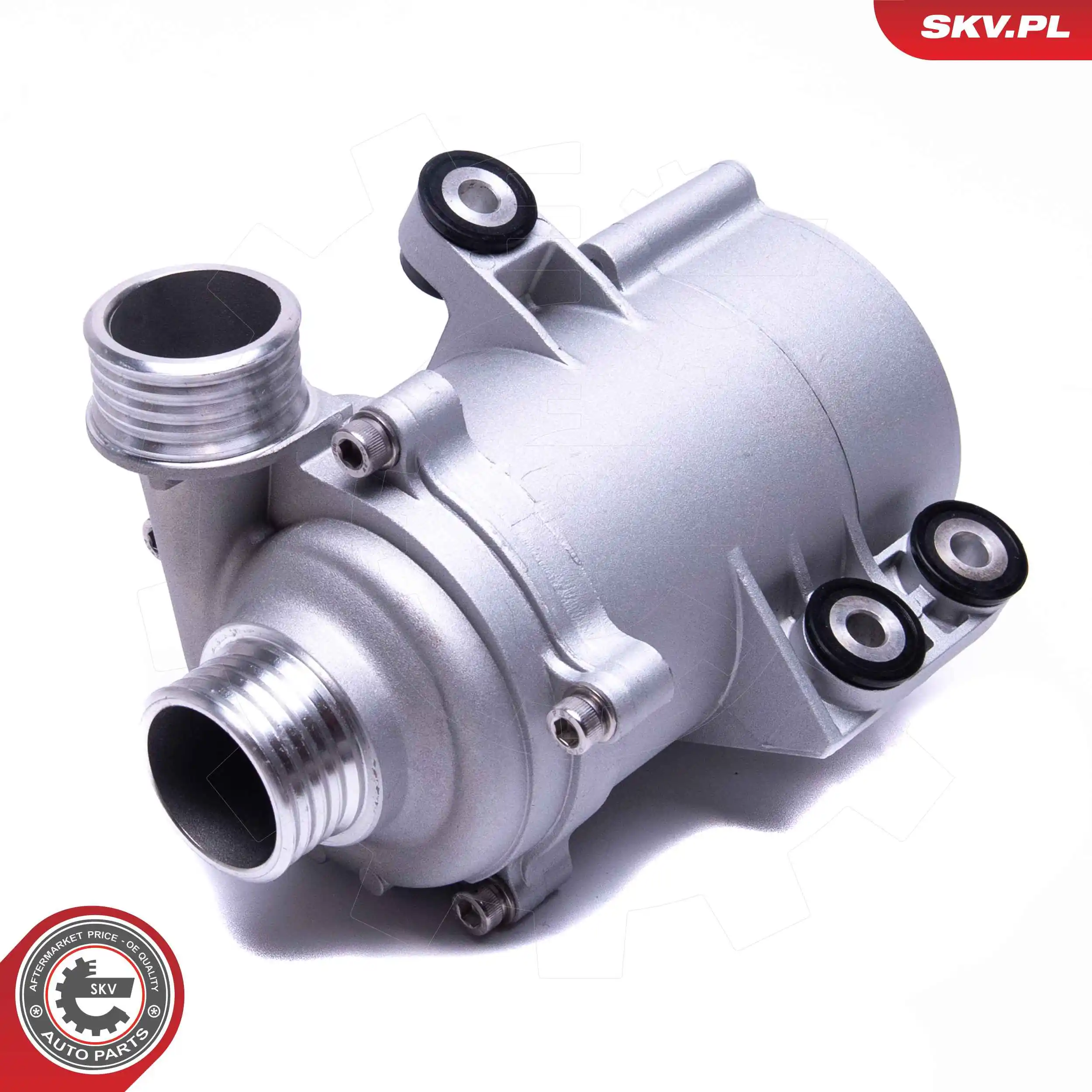 Water Pump, engine cooling 22SKV055
