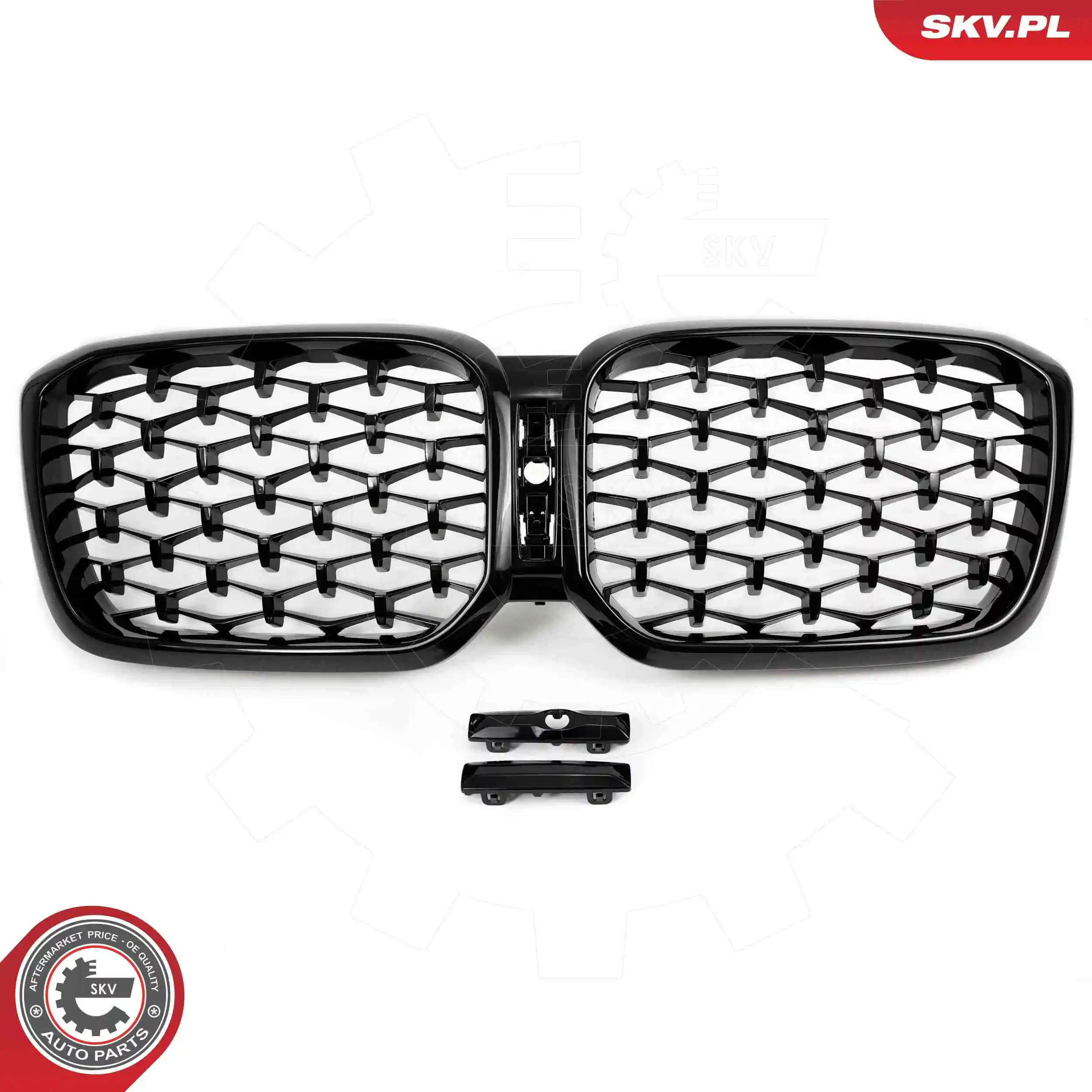 ESEN SKV 66SKV269 Radiator Grille