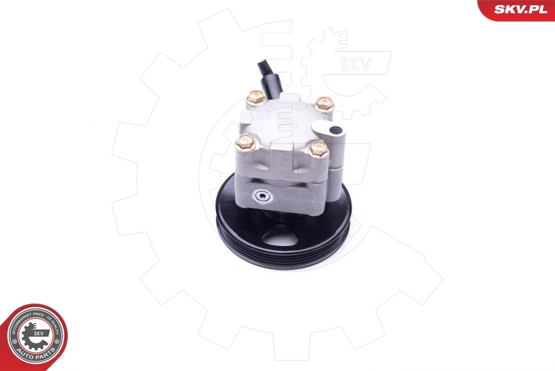 Hydraulic Pump, steering 10SKV276