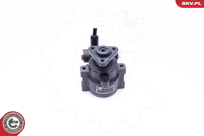 Hydraulic Pump, steering 10SKV253