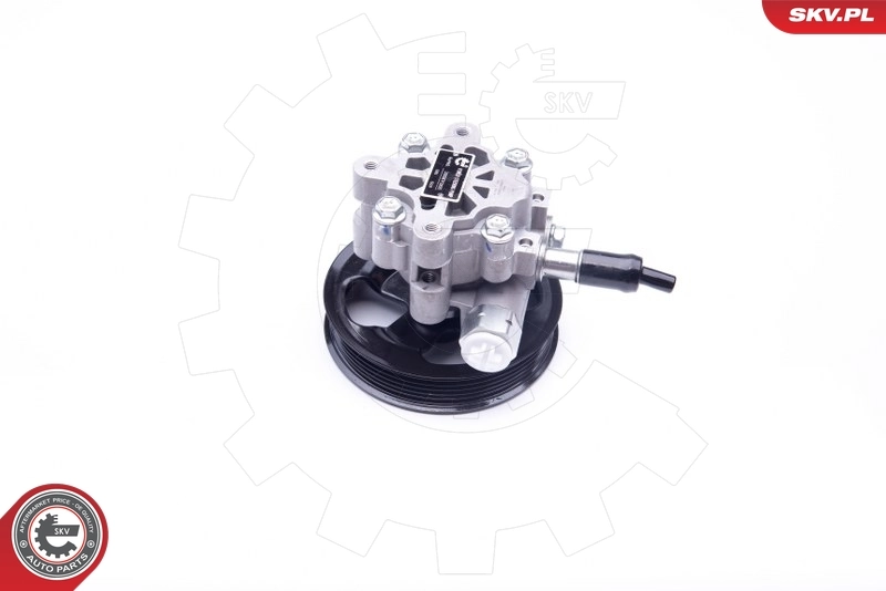 Hydraulic Pump, steering 10SKV265