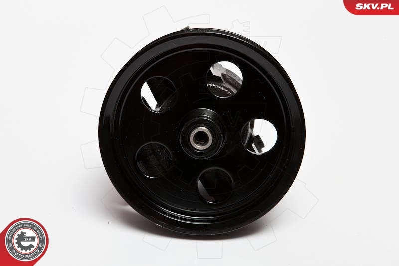 Hydraulic Pump, steering 10SKV067