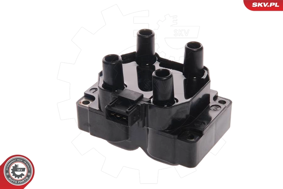 Ignition Coil 03SKV010