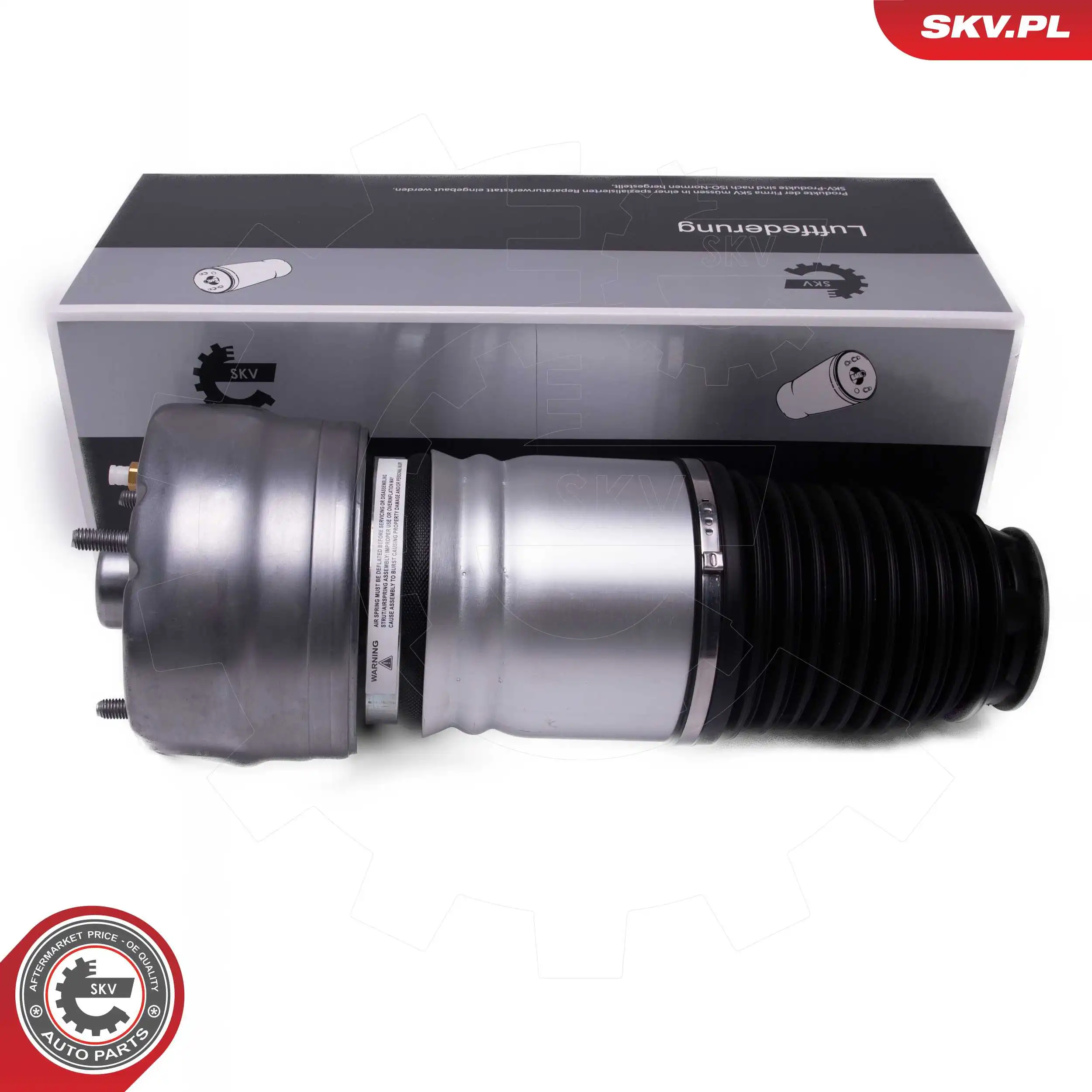 Air Suspension Strut 58SKV080