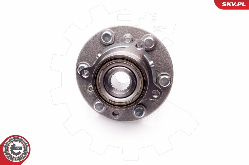 Wheel Bearing Kit 29SKV100