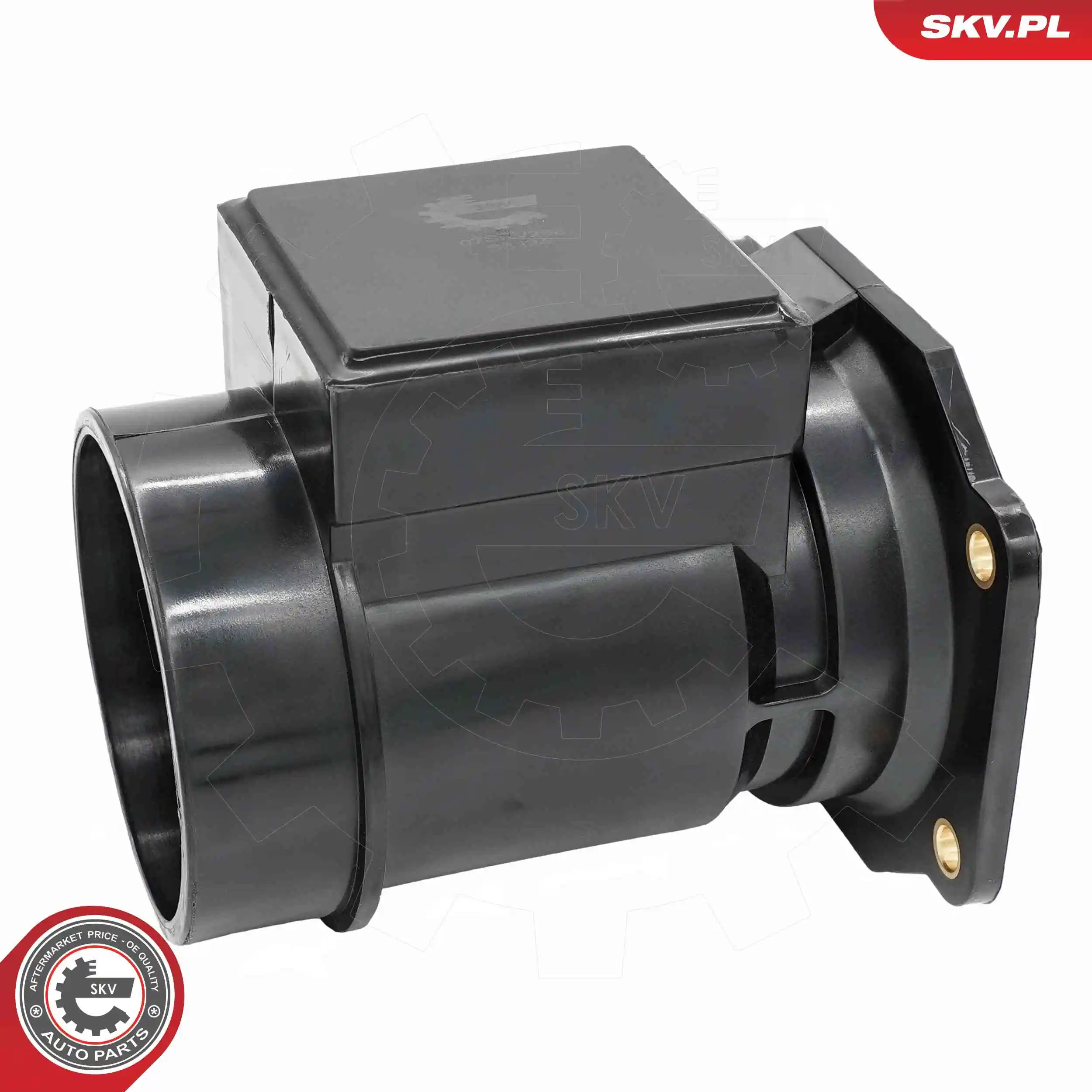 Mass Air Flow Sensor 07SKV268
