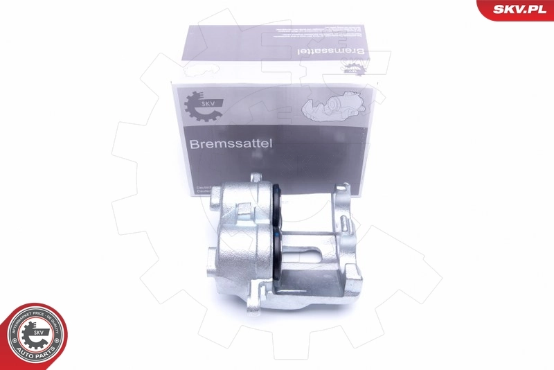 Brake Caliper 42SKV931