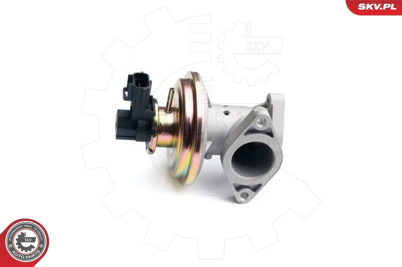 EGR Valve 14SKV097