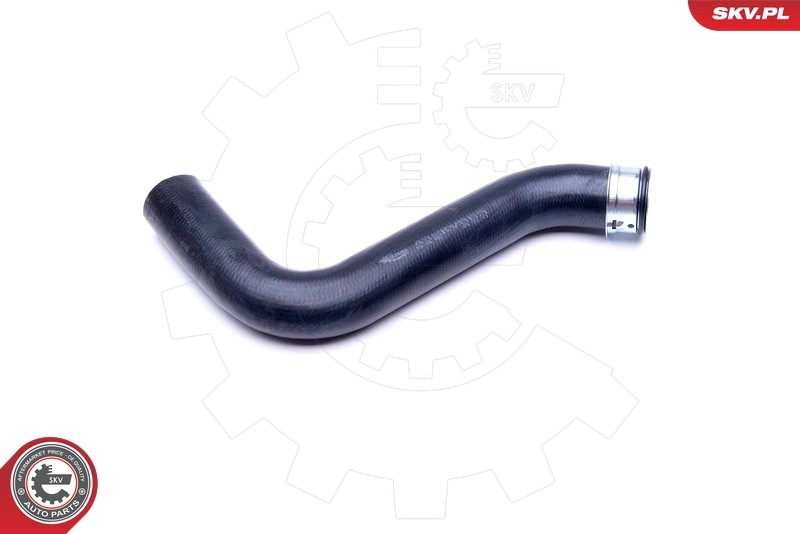 Radiator Hose 43SKV863