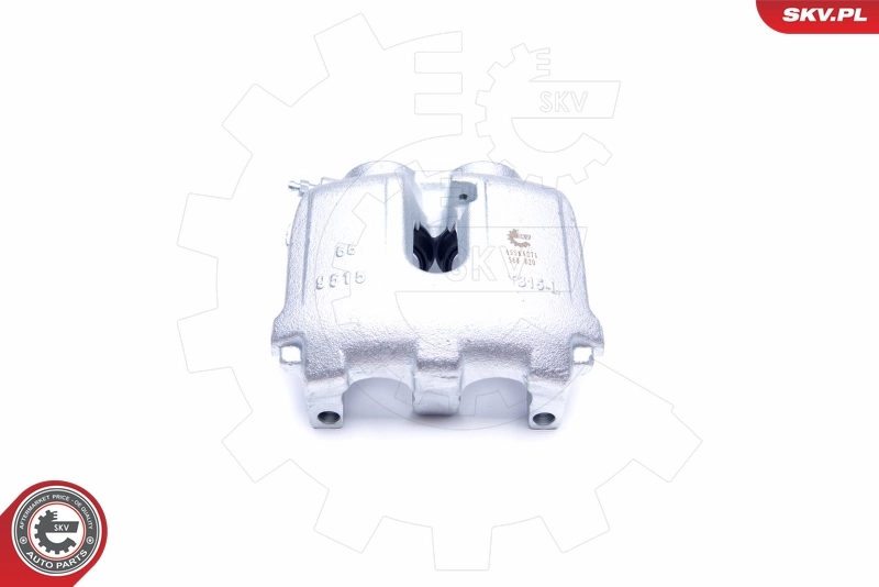 Brake Caliper 45SKV271