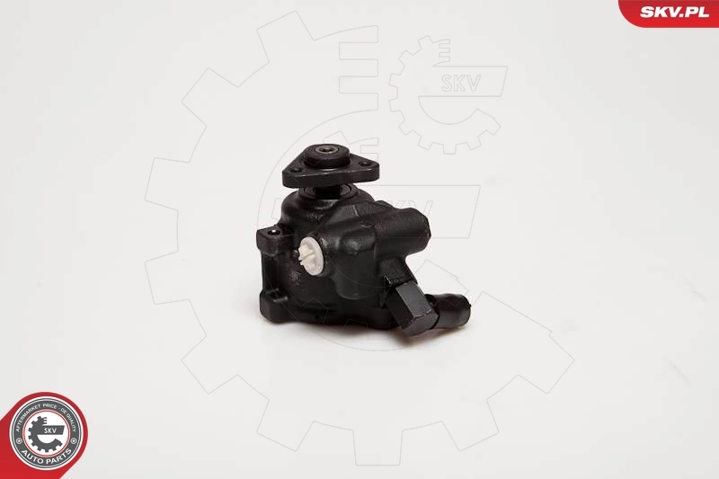 Hydraulic Pump, steering 10SKV056