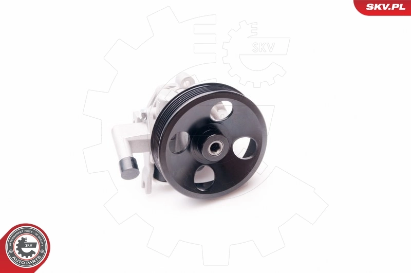 Hydraulic Pump, steering 10SKV214