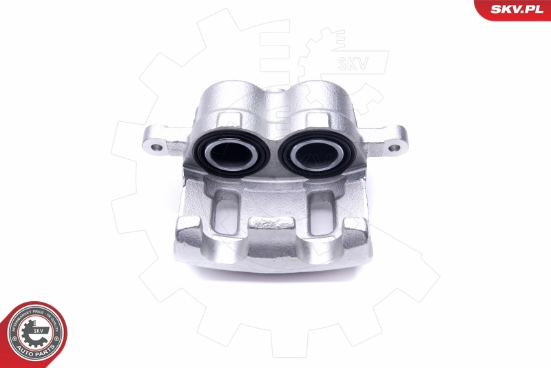 Brake Caliper 46SKV622