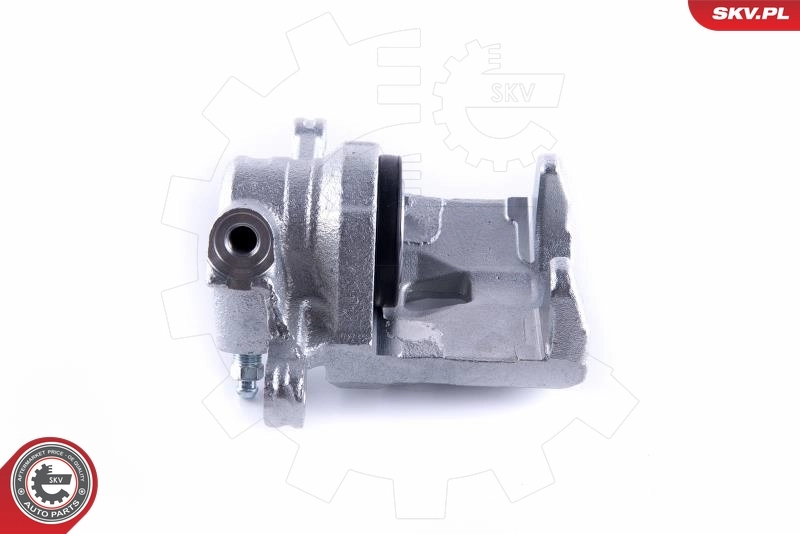 Brake Caliper 55SKV284