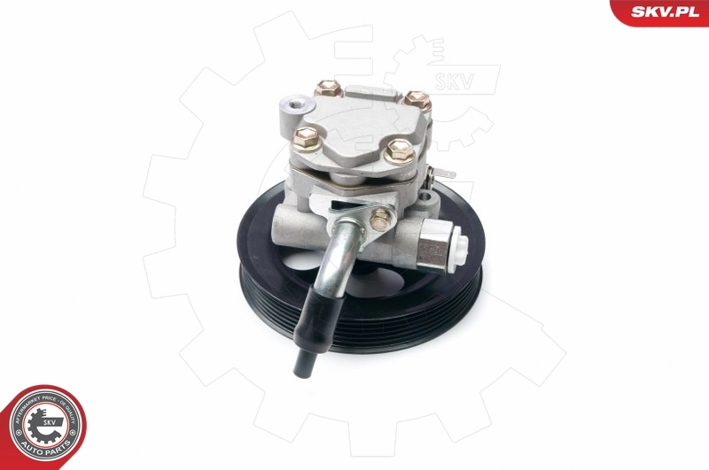 Hydraulic Pump, steering 10SKV216