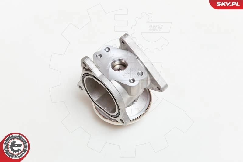 EGR Valve 14SKV019