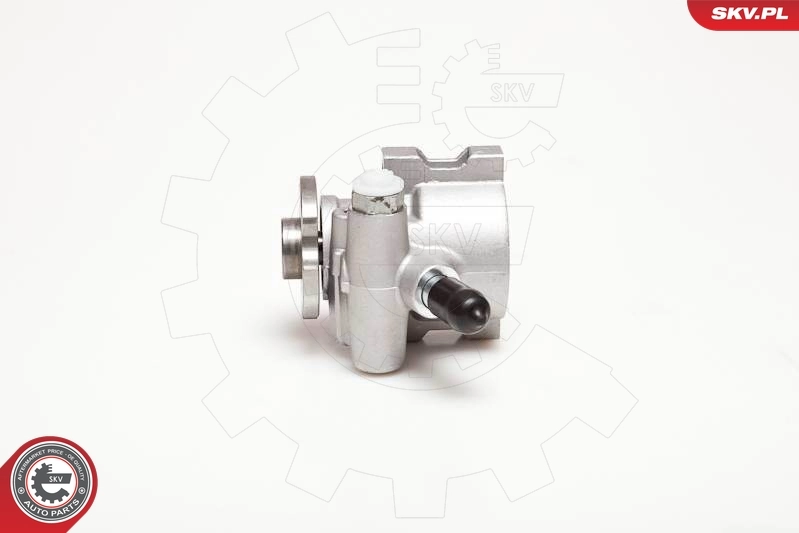 Hydraulic Pump, steering 10SKV178