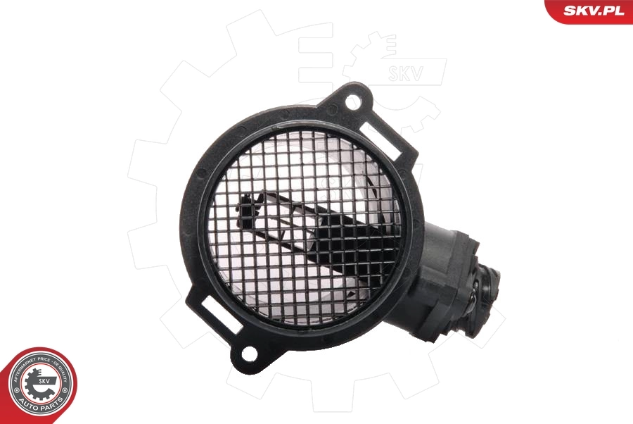 Mass Air Flow Sensor 07SKV019