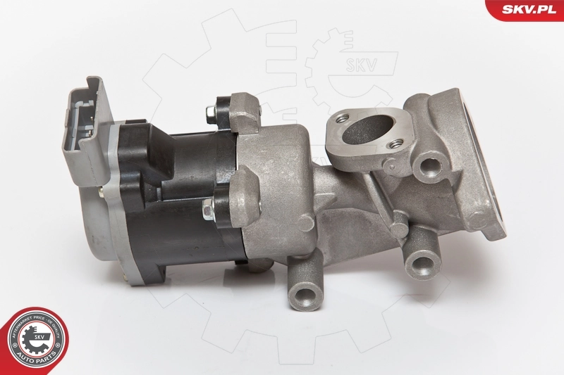 EGR Valve 14SKV073