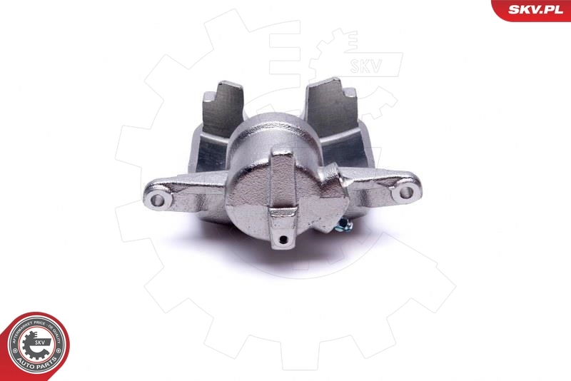 Brake Caliper 50SKV083