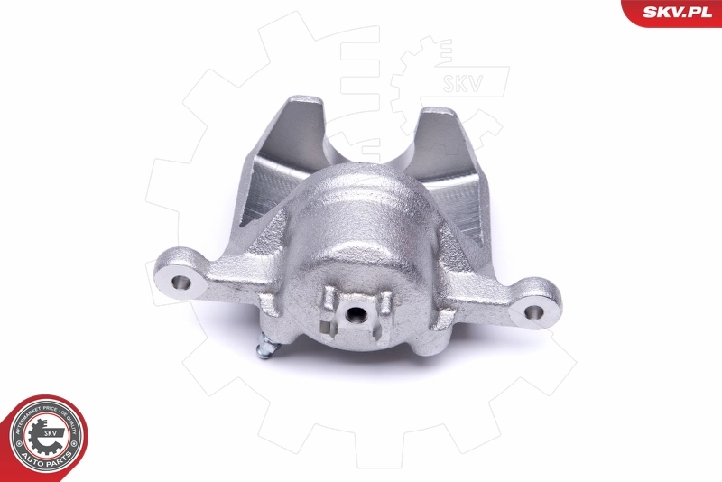 Brake Caliper 50SKV482