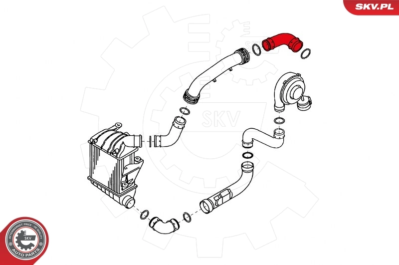 Charge Air Hose 24SKV649