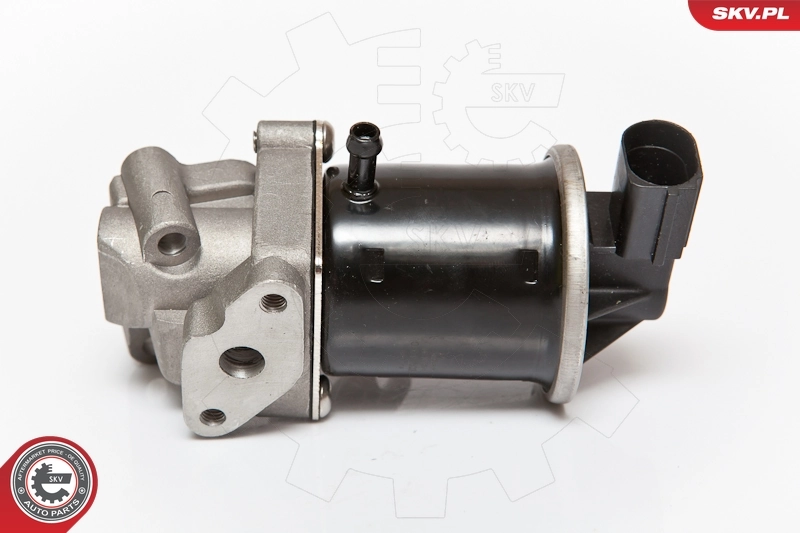 EGR Valve 14SKV074
