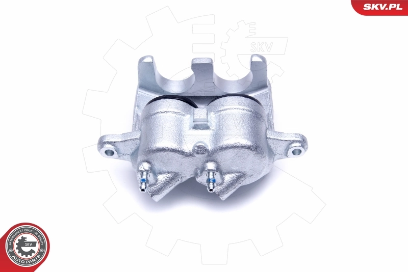 Brake Caliper 50SKV252