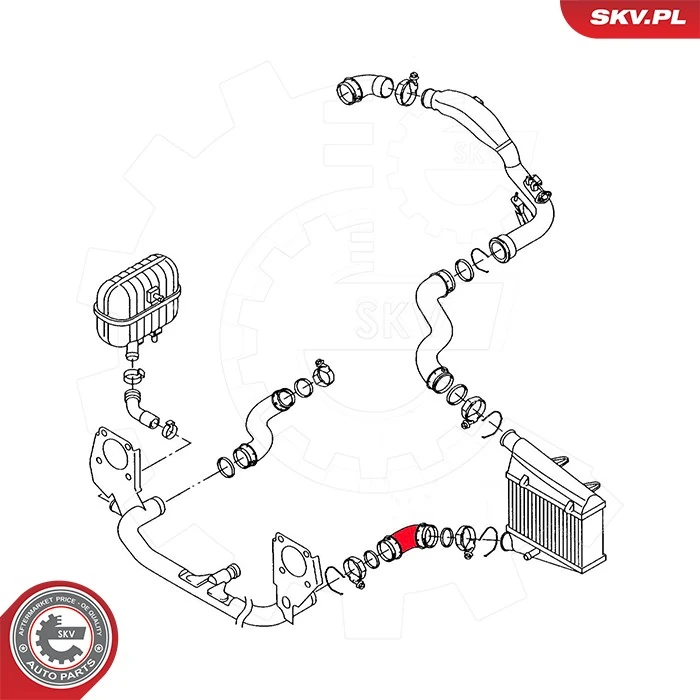 Charge Air Hose 43SKV457
